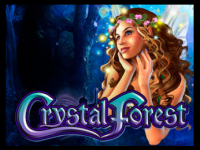 Crystal Forest Crystal Forest