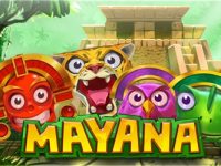 Mucha Mayana – analiza gry i funkcji automatu Mucha Mayana – analiza gry i funkcji automatu
